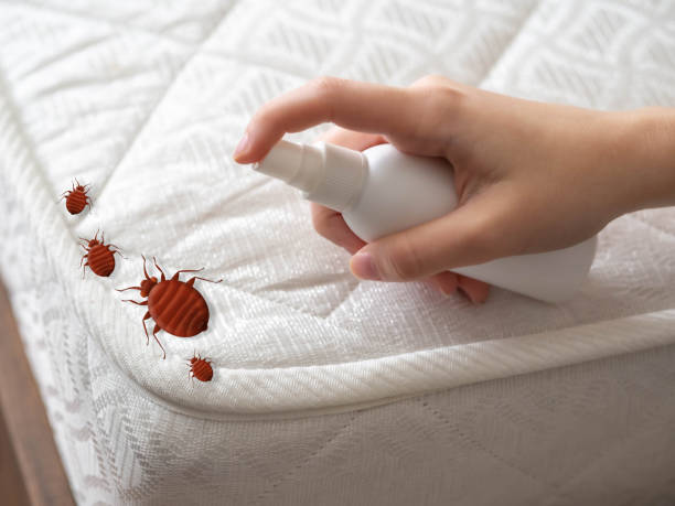 Pest Control for Restaurants in Alexandria, KY