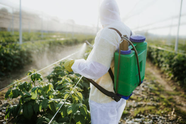 Best Ant Control Services  in Alexandria, KY